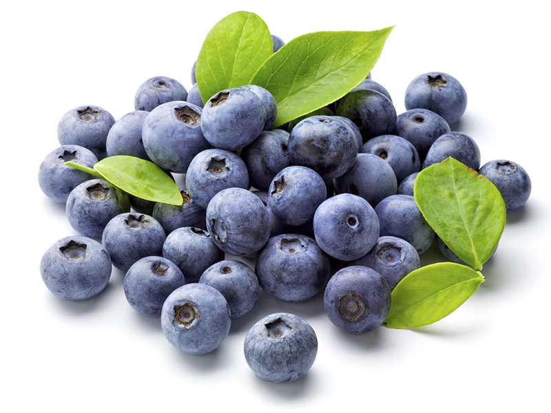 arandanos